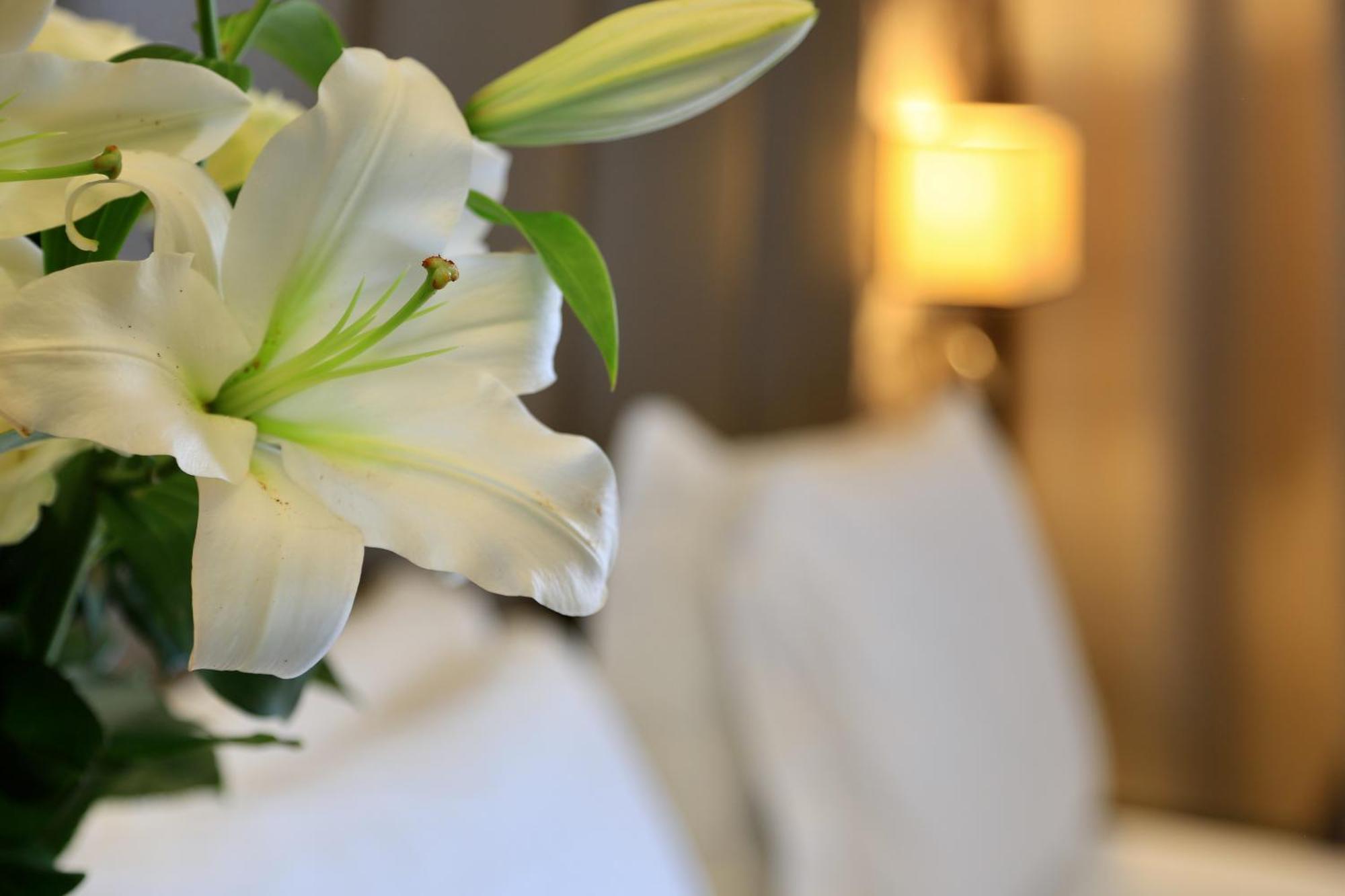 Hotel Klima Fiere Milan